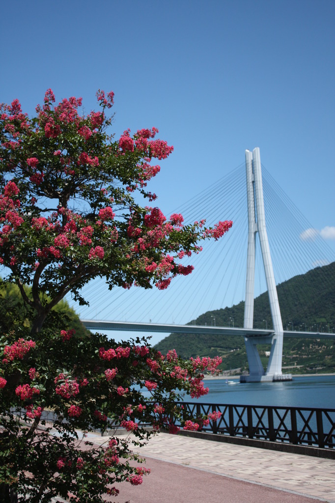 多々羅大橋