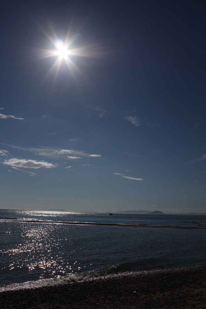 夏海