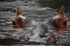 正面見えてる？
