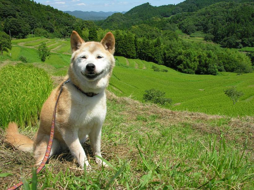 １３歳の笑顔