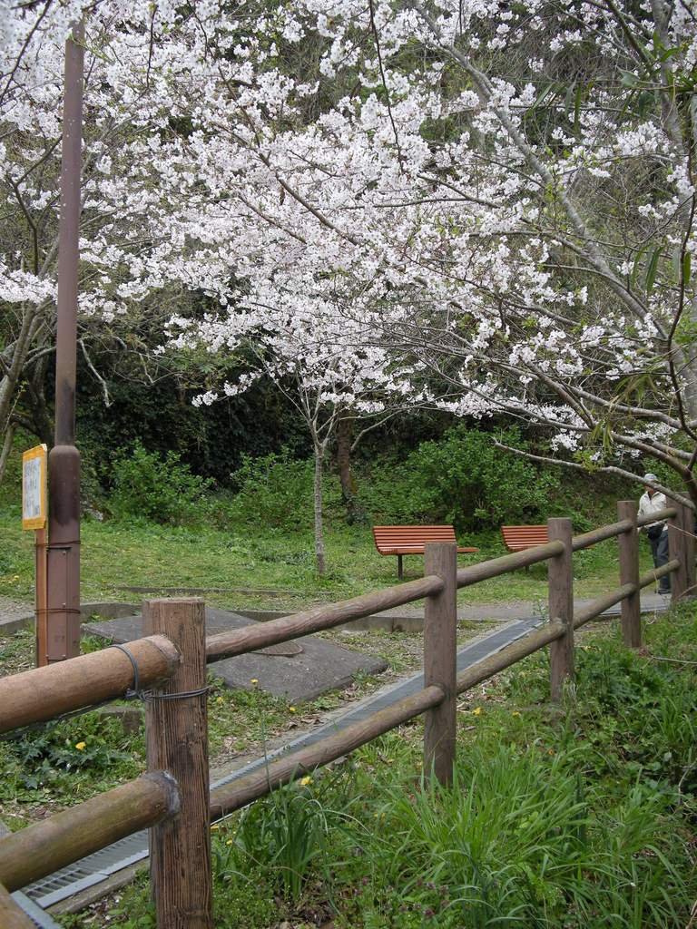 公園