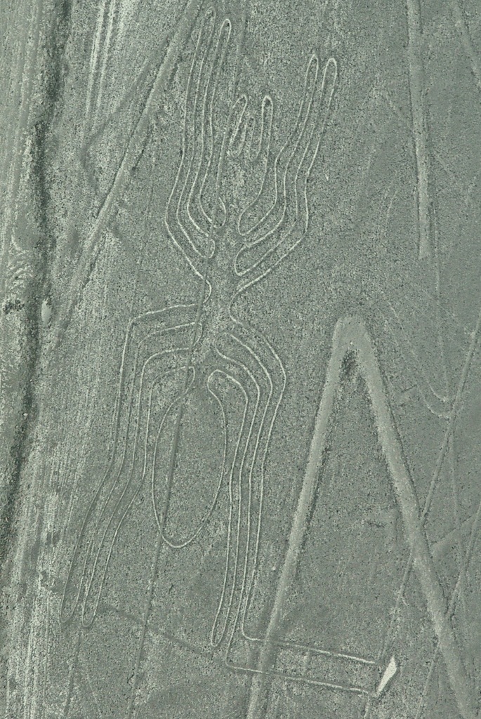 Nazca　Ⅲ