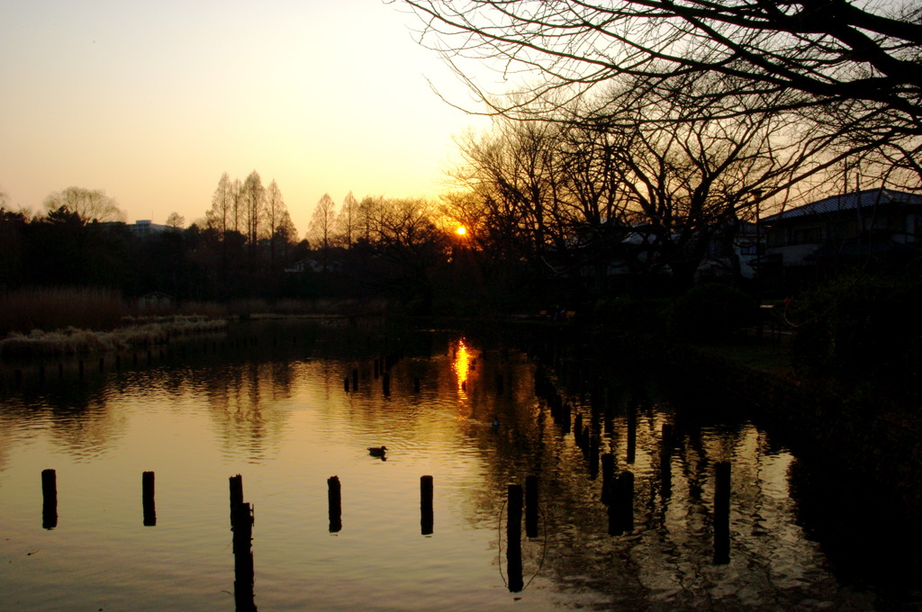 夕方と公園