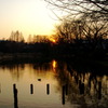 夕方と公園