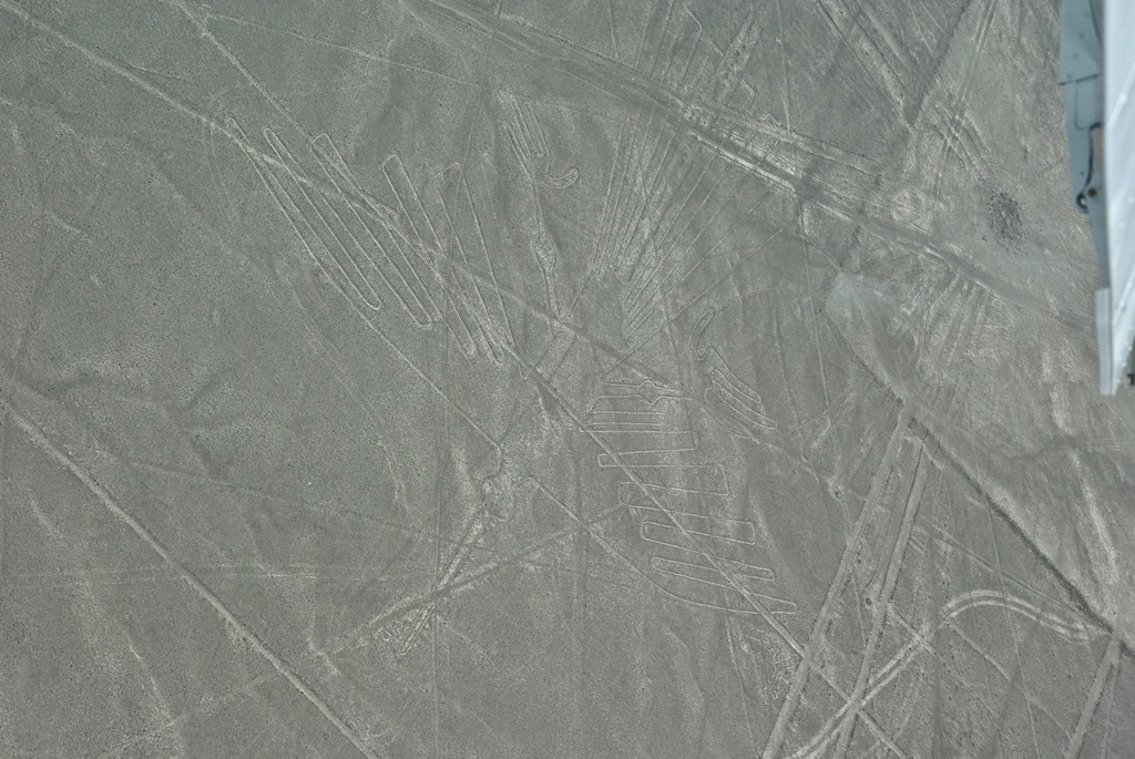 Nazca　Ⅳ