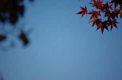 秋空3