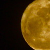 on night with a full moon
