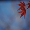 秋空2