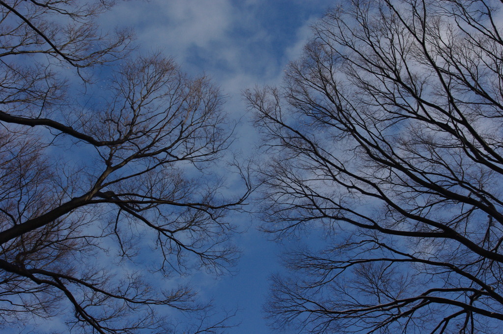 冬空