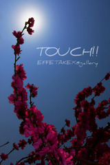 Touch!!