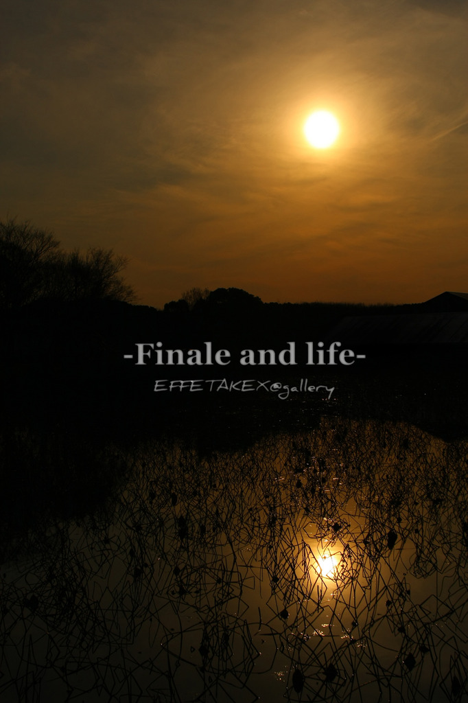 finale and life