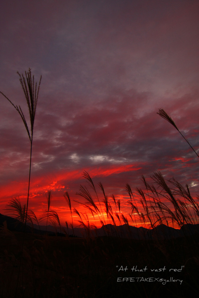 At that vast red