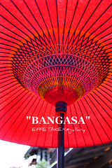 BANGASA