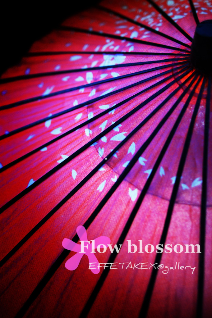 Flow blossom