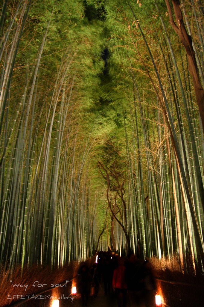 魂の路