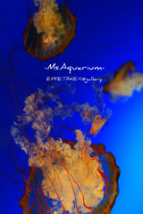 Ms.Aquarium