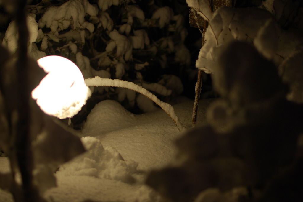 雪のぬくもり