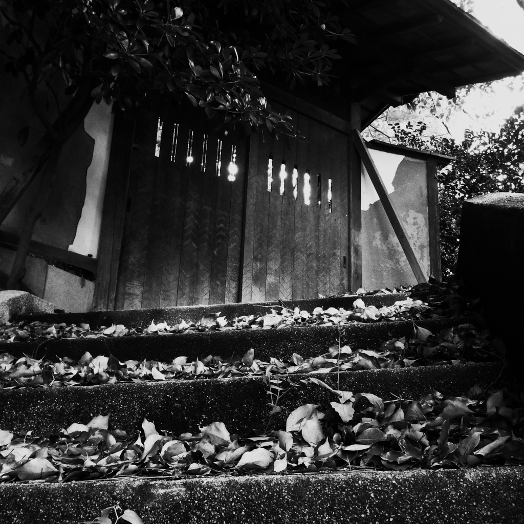 落ち葉を踏む音