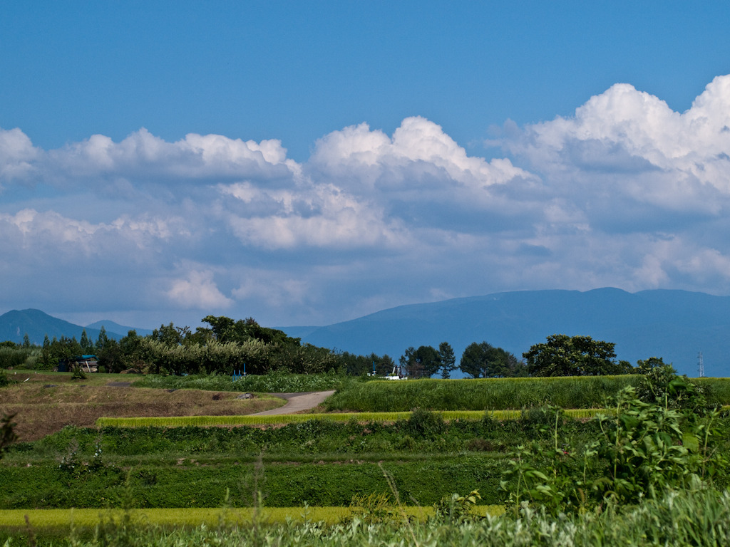 田舎2