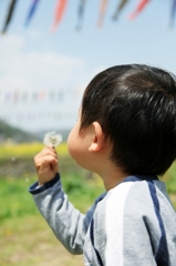 風に 飛んでいけ！