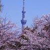 東京スカイツリー