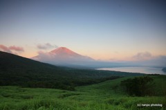 初夏の彩り
