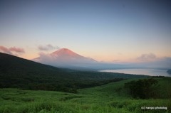 初夏の彩り