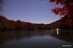 水面に映る紅葉　