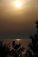 夕日 夕日