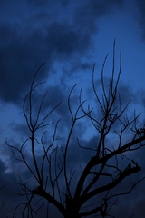 青の持つ力 青の持つ力