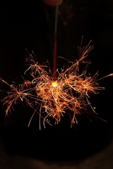 線香花火 線香花火