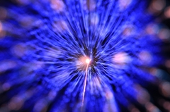 花火 露光間フォーカス撮影 花火 露光間フォーカス撮影