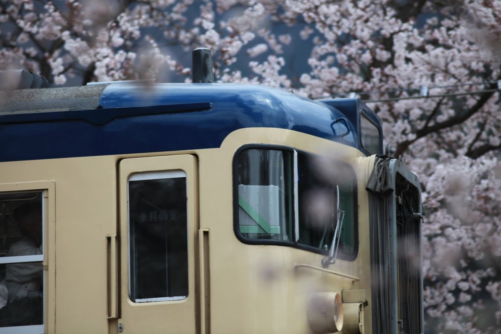 香りを横切る