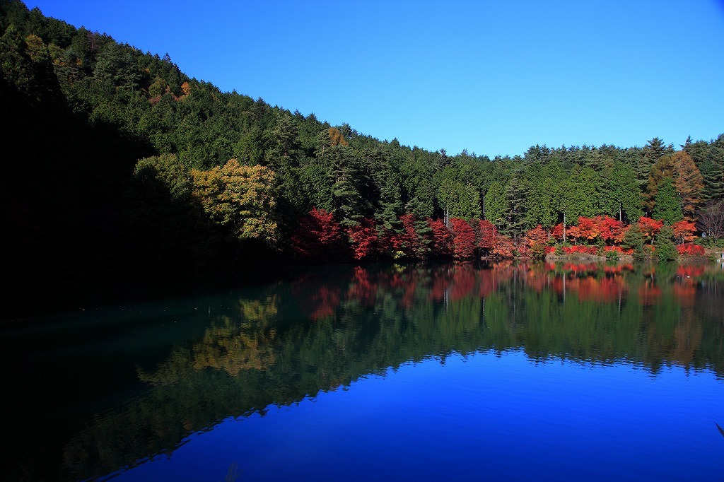 紅葉2009　伊奈ヶ湖（山梨県）