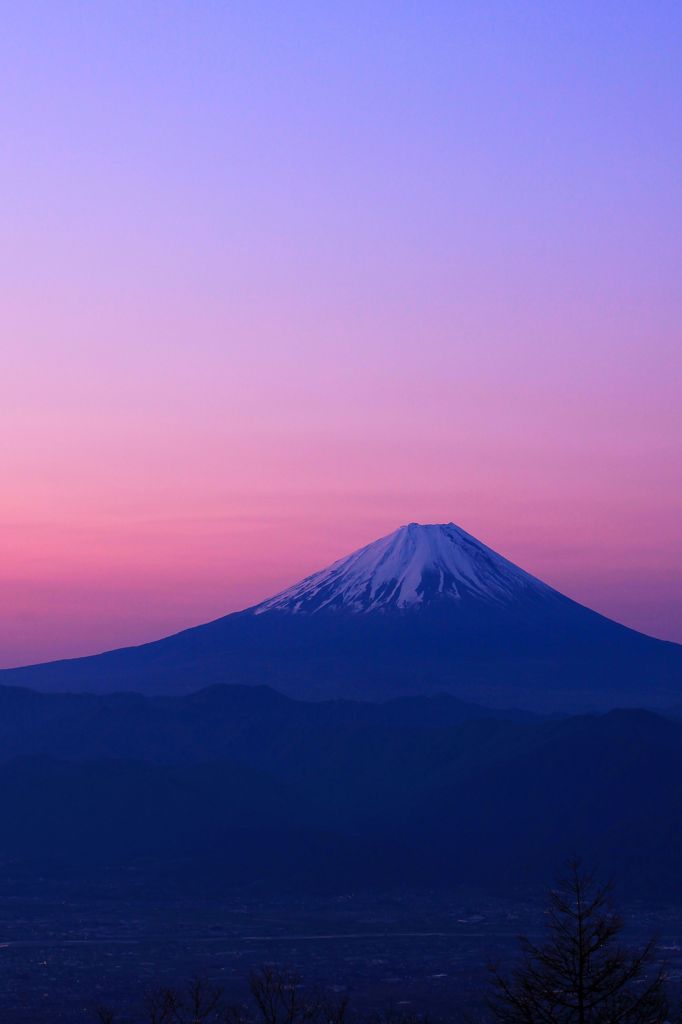 富士の紅よう