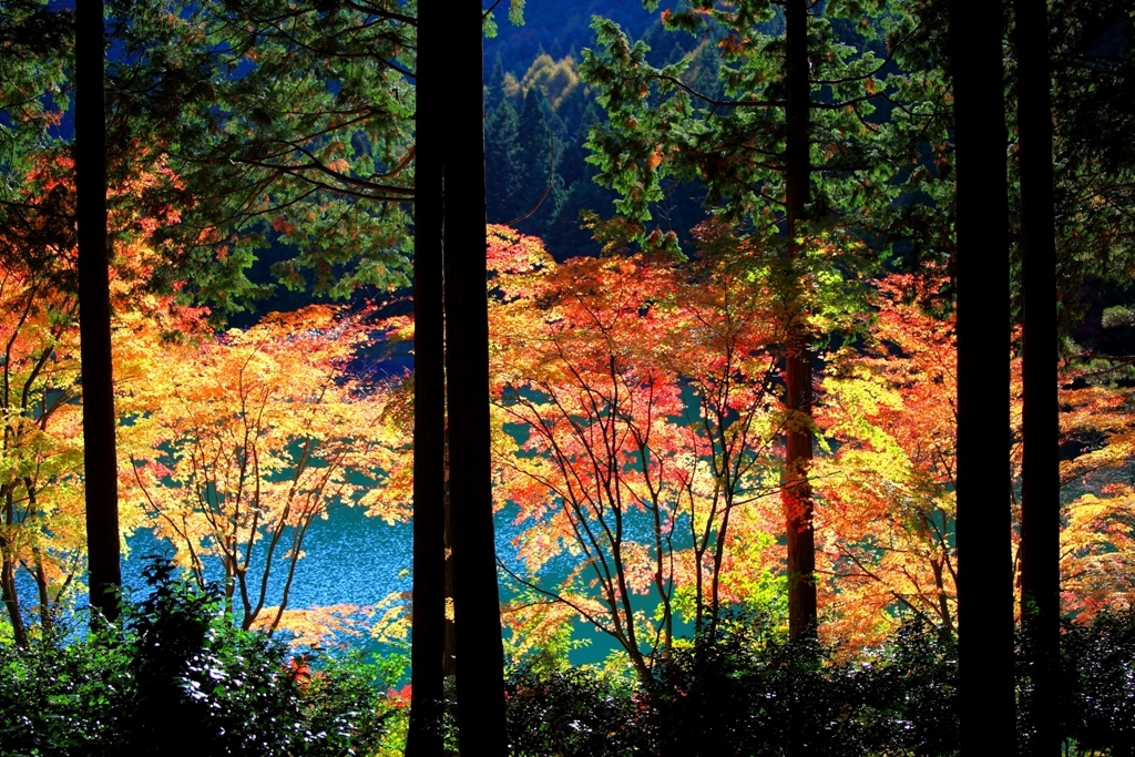 この景色がみたくて
