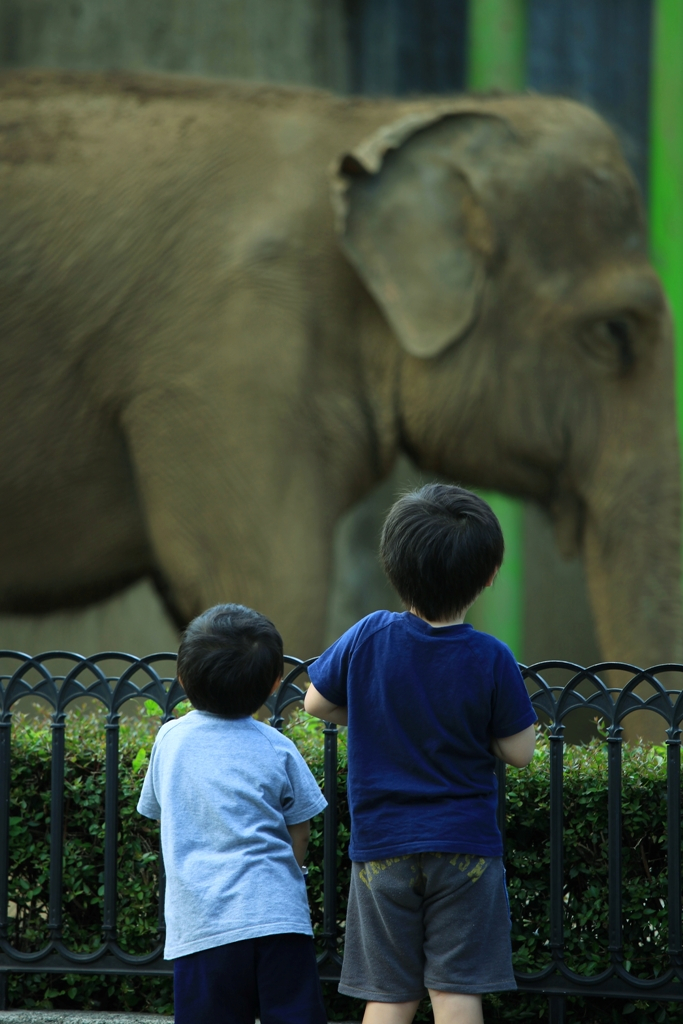 あの頃と同じ・・年老いた像。