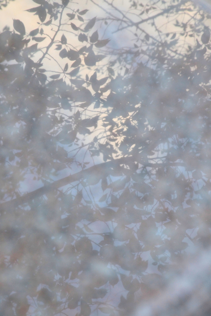 御影石に写った影