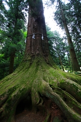 月日を感じる 月日を感じる