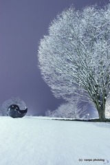 雪　2011