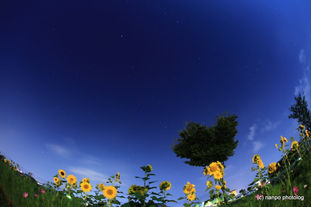 星空に舞う