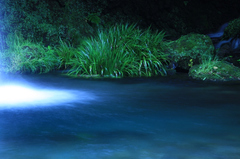 水面の青さ 水面の青さ