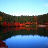 赤く染まって行く