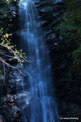 降りそそぐ水の音