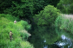 桂川フライフィッシング 桂川フライフィッシング