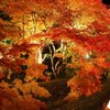 秋の舞台