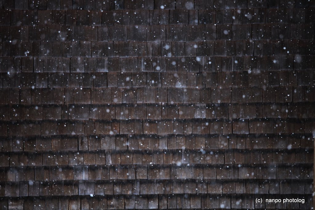 雪の舞