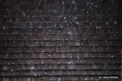 雪の舞