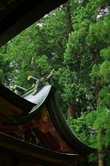 未来に残したい 未来に残したい