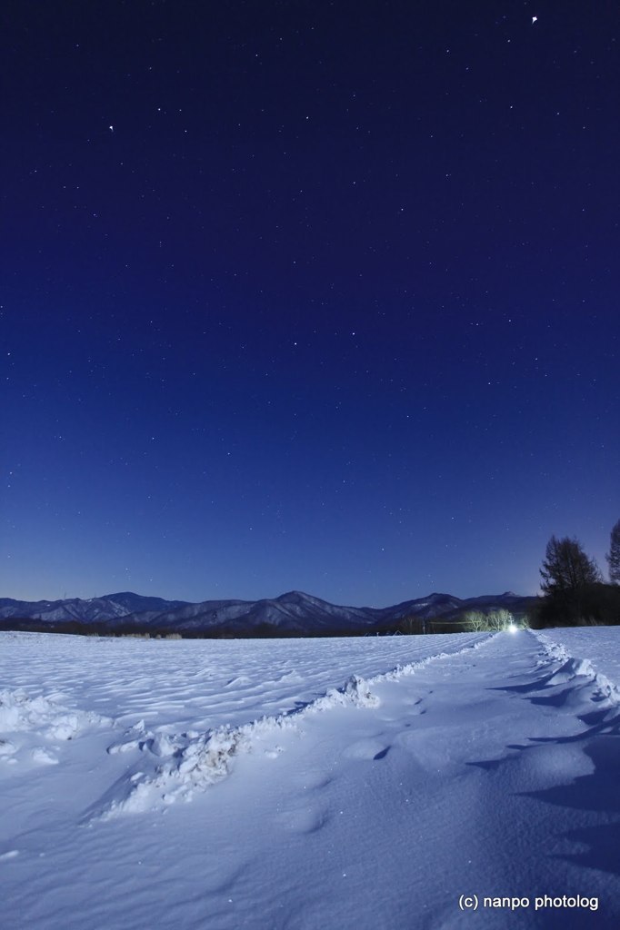 雪原